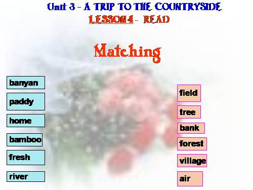 Unit 3. A trip to the countryside