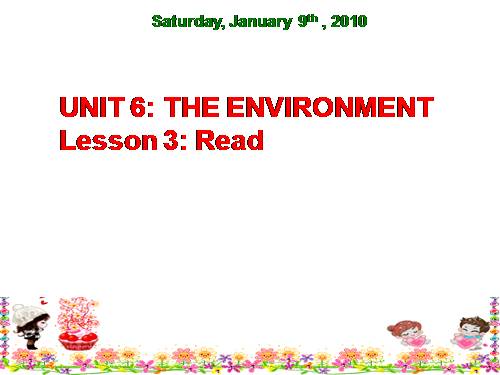 Unit 6. The environment