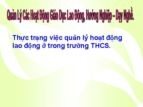 Lao động ở trường THCS như thế nào ?