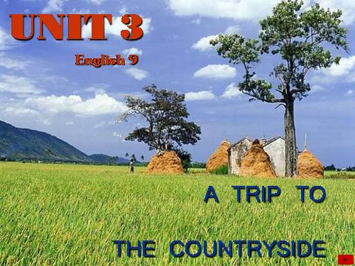 Unit 3. A trip to the countryside