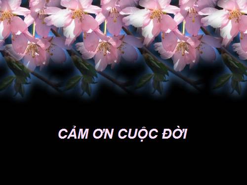 toan-gv-cam on cuoc doi