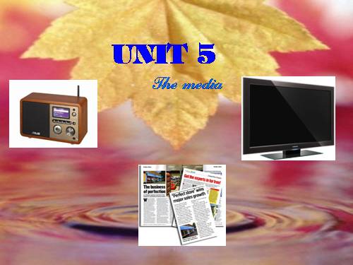 Unit 5. The media