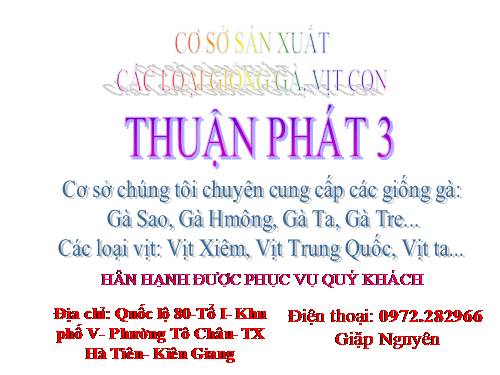 Cung cấp gà các loại