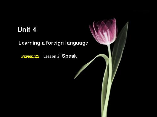 Unit 4. Learning a foreign language