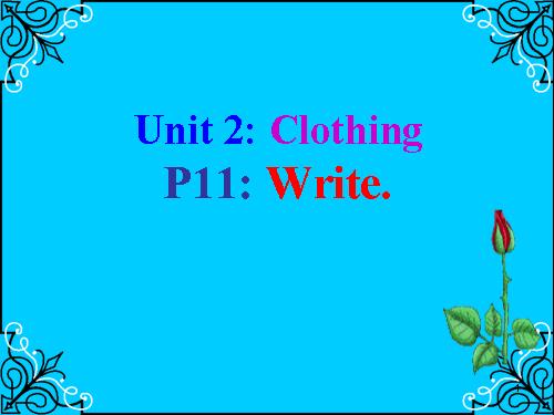 Unit 2. Clothing