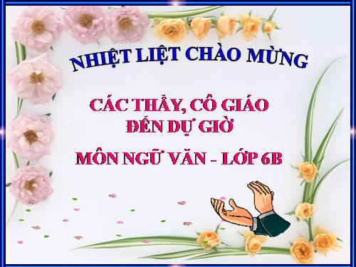 Bài 13. Chỉ từ