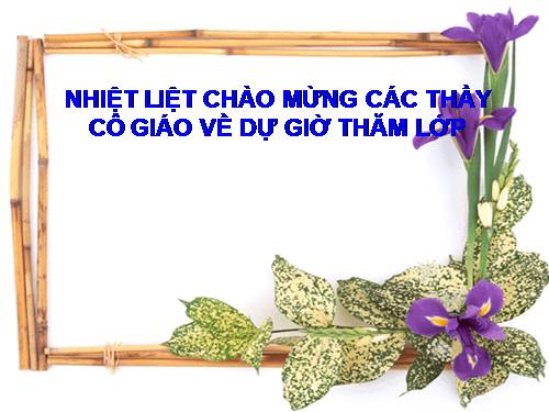 Bài 13. Chỉ từ