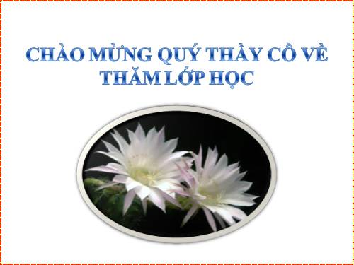 Bài 10. Ếch ngồi đáy giếng