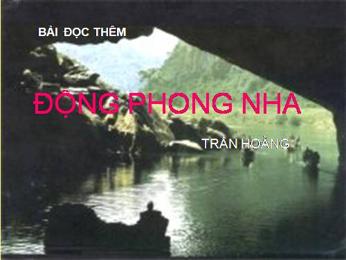 ĐỘNG PHONG NHA