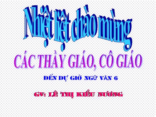 Bài 12. Số từ và lượng từ