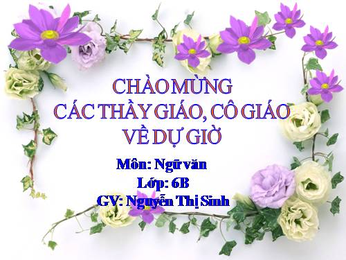 Bài 25. Cô Tô