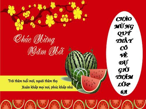 Bài 20. Bức tranh của em gái tôi