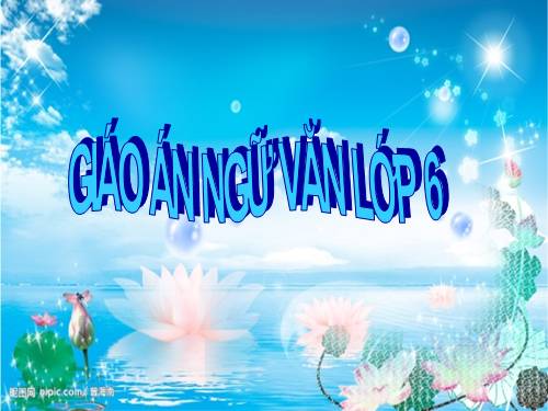 Bài 19. Quan sát, tưởng tượng, so sánh và nhận xét trong văn miêu tả