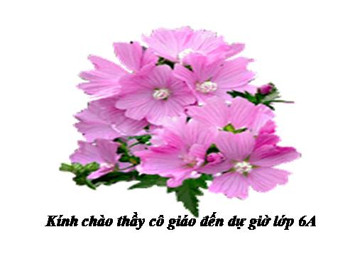 Bài 10. Ếch ngồi đáy giếng