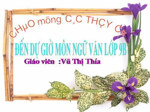 Hình ảnh người phụ nữ trong văn học trung đại