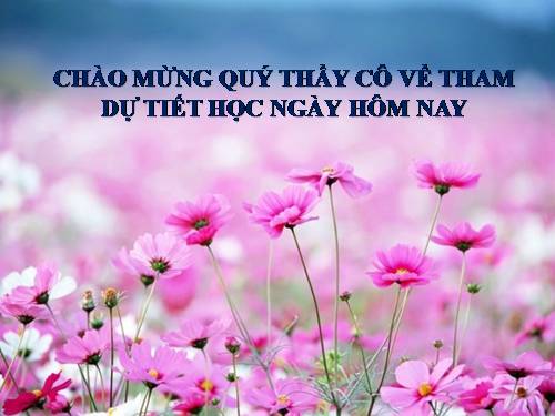 Bài 15. Tính từ và cụm tính từ