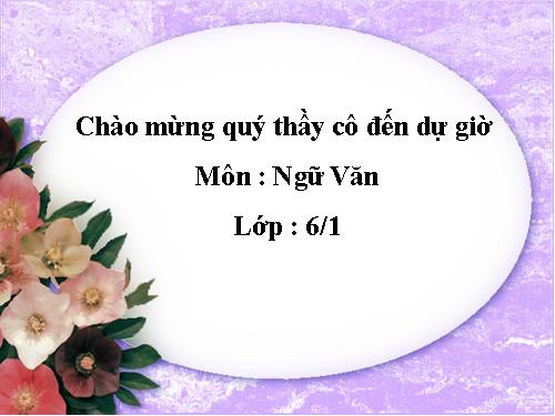 Bài 11. Cụm danh từ