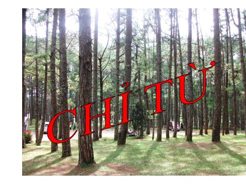 Bài 13. Chỉ từ