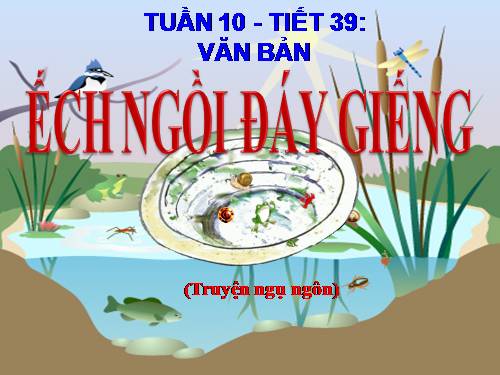 Bài 10. Ếch ngồi đáy giếng