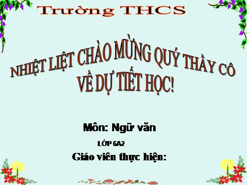 Bài 20. Bức tranh của em gái tôi