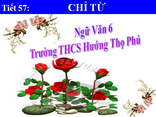 Bài 13. Chỉ từ