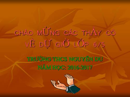 Bài 32. Ôn tập về dấu câu (Dấu phẩy)