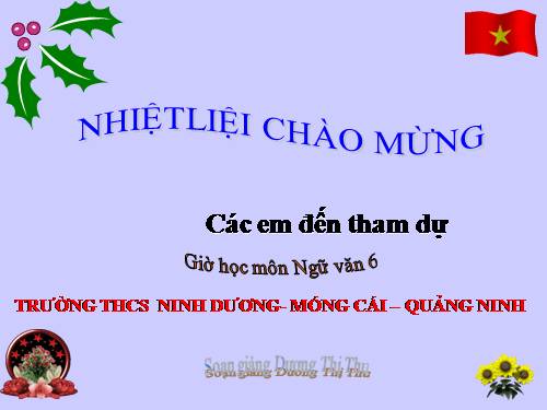 Bài 28. Ôn tập văn miêu tả