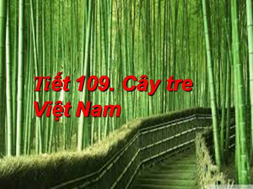 Bài 26. Cây tre Việt Nam