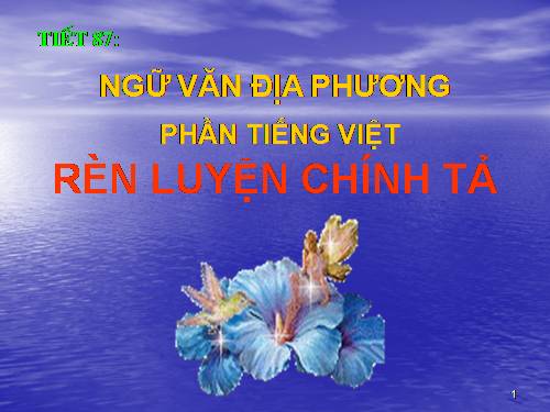 Bài 16. Chương trình địa phương (phần Tiếng Việt): Rèn luyện chính tả