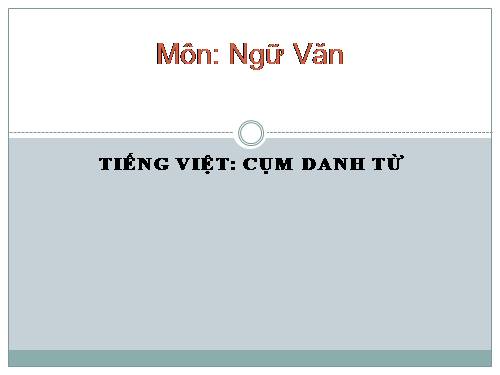 Bài 11. Cụm danh từ