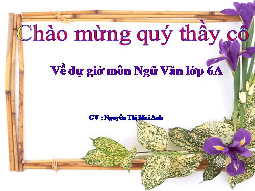 Bài 22. Buổi học cuối cùng