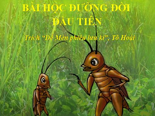 Bài 18. Bài học đường đời đầu tiên