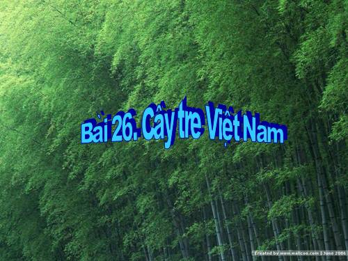 Bài 26. Cây tre Việt Nam