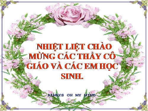 Bài 18. Bài học đường đời đầu tiên