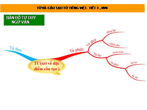 bản đồ tư duy 6,7,8,9