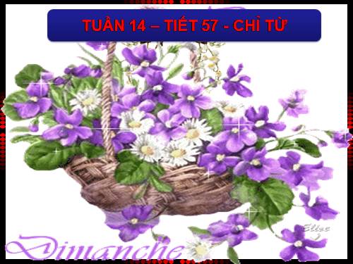 Bài 13. Chỉ từ