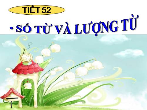 Bài 12. Số từ và lượng từ