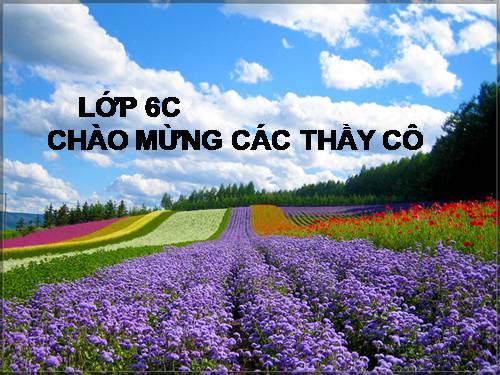 Bài 10. Luyện nói kể chuyện