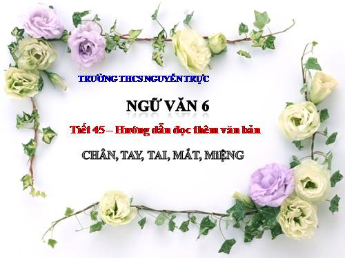 Bài 11. Chân, Tay, Tai, Mắt, Miệng