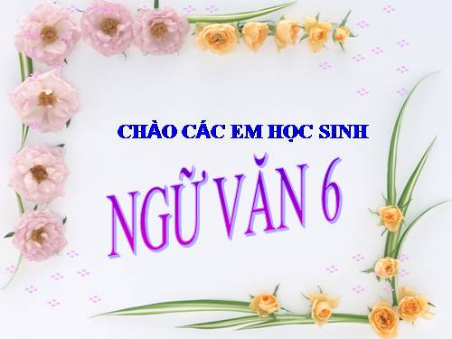 Bài 8. Ngôi kể trong văn tự sự