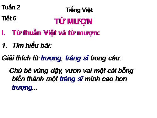 Bài 2. Từ mượn