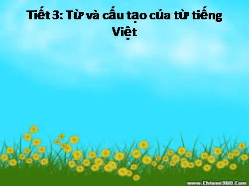 Bài 1. Từ và cấu tạo của từ tiếng Việt