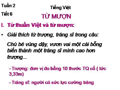 Bài 2. Từ mượn
