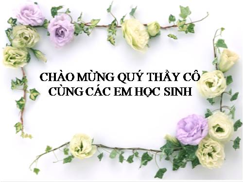 Bài 14. Động từ