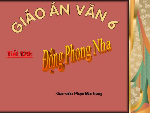 Bài 31. Động Phong Nha