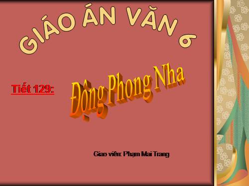 Bài 31. Động Phong Nha