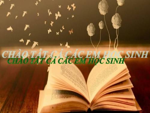 Bài 2. Tìm hiểu chung về văn tự sự