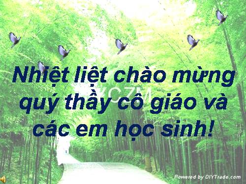 Bài 14. Cụm động từ
