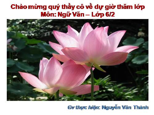 Bài 25. Các thành phần chính của câu