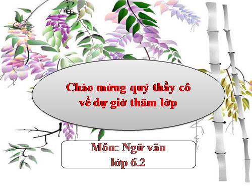 Bài 25. Cô Tô